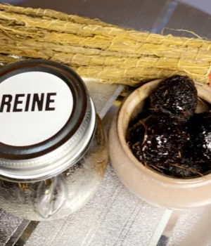 Thiouraye Nakka Reine