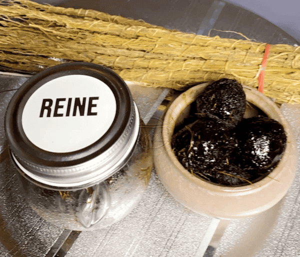 Thiouraye Boule de Nakka Reine