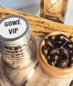 Thiouraye Gowe VIP NEMALI
